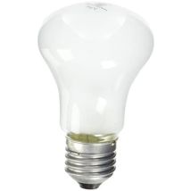 Elinchrom - El23002 - Ersatzbirne Für Einstelllicht - 100 W