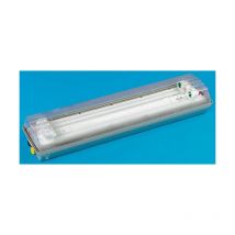Eclairage pour zone dangereuse, Éclairage, Zone 1, 2, Classe de temp. : T4 2 x 18 w, Doubles néons fluorescents, 120 ( Prix pour 1 )