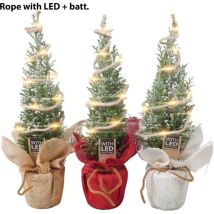 Vivaio Garden Forest - Ellwoodii, O Falso Cipresso, Con Led Versione Natalizia H 32 Cm Foto Reali