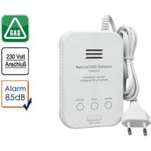 Gasmelder für Methangas 85dB, Testtaste & Zuleitung