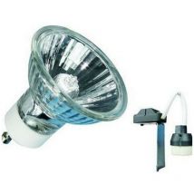 GU35 Kit ampoule et c'blage spot halogène GU10 35W Chaud 1200Lm - Elro