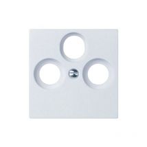 Plaque centrale, 266034 - Elso