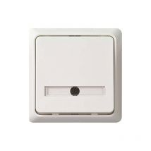 Elso - poussoir plaque de police encastrable 1 A.42 V ren, blanc pur, 506124