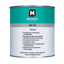 Molykote EM30L1 1KG Grease