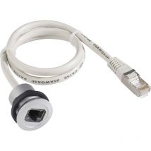 Schlegel - Embase RJ45 femelle RRJRJ45150CM RJ45 embase femelle, mâle, droit Pôle: 8P8C gris 1 pc(s)