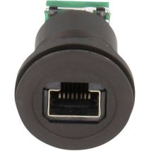 Schlegel - Embase RJ45 femelle RRJRJ45STBSW RJ45 embase femelle 1 pc(s)