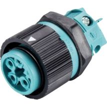 Wieland - 46.051.5053.6 Cosse cylindrique mâle embase femelle Nombre total de pôles: 4 + pe Série (connecteur rond): rst mini 1 pc(s) S301481