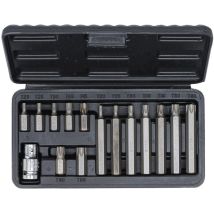 Jeu D'Embouts 10 Mm (3/8') Profil En T (pour Torx) 15 Pièces