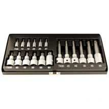 Embouts torx courts et longs de t8 à t60 coffret de 18 embouts