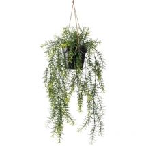 Buisson suspendu d'asperge artificiel 50 cm en pot Emerald