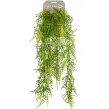 Asperges Plumosus artificielle 80 cm Emerald