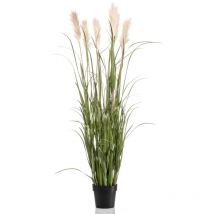 Emerald - Herbe de pampa artificielle avec pot 160 cm