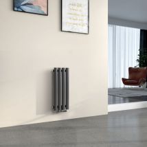 EMKE Radiadores de agua caliente de acero Tubo Redondo Horizontal Antracita 60x24cm Monocapa