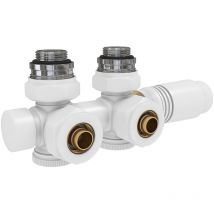 Robinet de Radiateur, Robinetterie d'Angle, Robinet Thermostatique pour Radiateur, Kit Multibloc pour Radiateur avec Contrôleur de Température