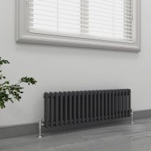 Emke - Traditional Cast Iron Style Anthracite 2 Column Horizontal Radiator Central Heating Rads 300x1010mm