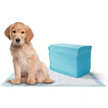 Empapadores Fur Hunde Empapadores Fur Haustiertraining Empapadores Groen Hund Fur 15 Einheiten 16862528
