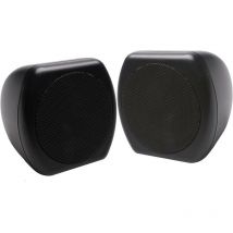 Sinustec - Enceinte à large bande 100 w UB-1000 1 paire(s) Y42303