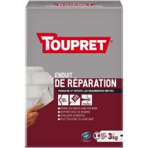 Enduit de réparation poudre boite 3 kg - Toupret