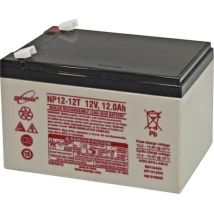 Enersys Genesis Np12-12 Bleiakku 12v 12ah Blei-vlies (agm) (b X H X T) 151 X 100 X 98mm Flachstecker S024851