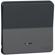 Enjoliveur avec lentille Mureva Styl - IP55 - IK08 - gris Schneider Electric MUR34204