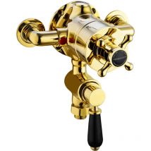 ENKI, Downton, T91, Single Shower Unit Outlet, Twin Thermostatic Shower Valve ¬O Outlet, Gold & Black Shower Tap Attachment for Bathroom Showers,