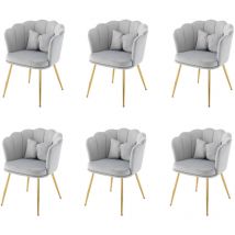 Ensemble de 6 chaises de salon modernes en velours, chaises de salle de bain, chaises rembourrées avec dossier pétale, pieds en métal plaqué or et