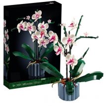 Ensemble de plantes et fleurs artificielles d'orchidées, cadeau de décoration pour adultes, collection spéciale et anniversaires