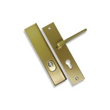 Dieckmann - Ensemble de poignées de porte Clé i palière/borgne 8603 Jaune/Doré Jaune/Doré