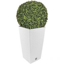 Ensemble de pots Rato 35 litres avec insert 28,7 x 28,7 x 55 cm de couleur blanche + boule de buis diamètre 36 cm