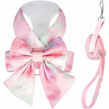 Ensemble harnais et laisse pour chien avec nœud papillon mignon, élégant harnais pour chiot dégradé arc-en-ciel, sans traction, en maille douce, pour