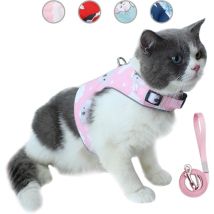 Ensemble Laisse et Harnais pour Chat Anti-évasion,Gilet réfléchissant réglable pour Animal de Compagnie espirante en Maille Souple avec Carte