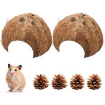 Pièces demi-coquille de noix de coco, coquille de noix de coco comme élevage et cachette pour petits animaux, décor pour aquarium pour petits animaux