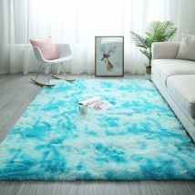 Ensoleille - Tapis Chambre Tapis Modernes de Salon Soft Tapis à Poils Longs Moelleux Tapis Extra Doux et Confortable Tapis Antidérapant Intérieur