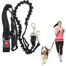 Laisse mains libres pour chien, course à pied, absorbant les chocs, extensible - Ceinture réglable - Pour courir, faire du jogging ou