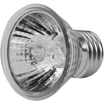 Jeffergarden Ampoule chauffante 75W, lampe d'aquarium pour animaux de compagnie, tortues, reptiles, 110V