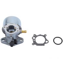 Eosnow - Carburador para 497586 498170 799868 498254 497314