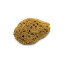 Dekor - Eponge de mer 100% naturelle - 15 x 17 cm - tp 1474