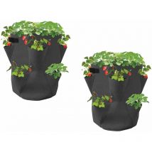 Erdbeer-Pflanzsack 2er-Set 16400600