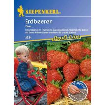 Kiepenkerl - Erdbeere Elan Fragaria Ananassa, Inhalt 8 Pillen Obst- & Gemüsesamen