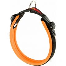 Ferplast - ergofluo c Collier pour chiens avec rembourrage souple et système de fermeture avec micro-régulation. Variante C15/33 - Mesures: a: 25-33