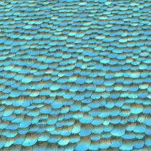 Feather Wallpaper Select Paste The Wall Blue Black Vinyl - Erismann