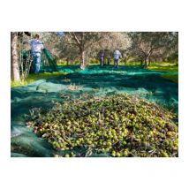 Erntenetz 50gr/m - 3m x 100m - Grun