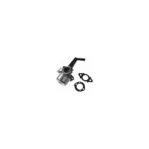 Ersatz Briggs & Stratton Pinnenvergaser 696065 mit Dichtungssatz