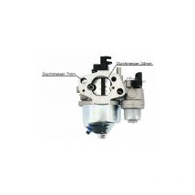 Ersatz Vergaser für Chinesische Gartenhäcksler, Gartenfräsen und Gartenhäcksler, Gartenfräsen aus Hobbymärkten a 1224 r