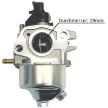 Ersatz Vergaser für Chinesische Rasenmäher und Rasenmäher aus Hobbymärkten Trex Y196V