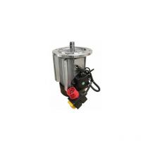 Wolpart - Ersatzmotor Industriemotor 400V 12A 5,1kW Schalter Motor Holzspalter