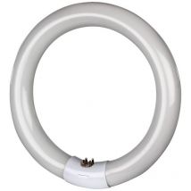 Ersatzröhre 32 w für Insektenfallen 361B/363G/368G/3688/MOON