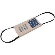 Ersatzteil - Antriebsriemen / Keilriemen 1231H Poly v - - candy, hoover, zerowatt Bluesky doman, aeg, electrolux, arthur martin electrolux, zanussi,