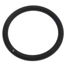 Ersatzteil - O-Ring unter Ausguss - Delonghi simac, supercalor