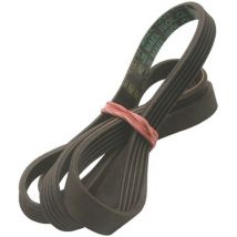 Ersatzteil - Riemen 1218 J5 - Candy,hoover fagor, iberna, rosieres